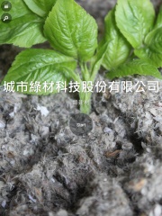 三峽城市綠材科技股份有限公司網站設計案